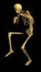 A skeleton sneaking around on a black background.